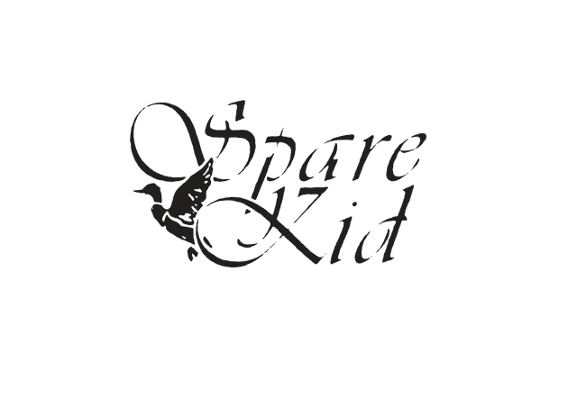 Spare Kid Merch Store